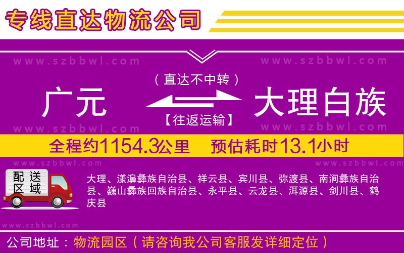 廣元到大理白族自治州物流公司