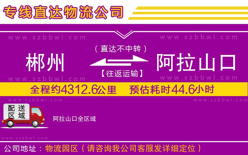 郴州到阿拉山口物流公司