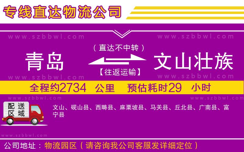 青島到文山壯族苗族自治州貨運專線
